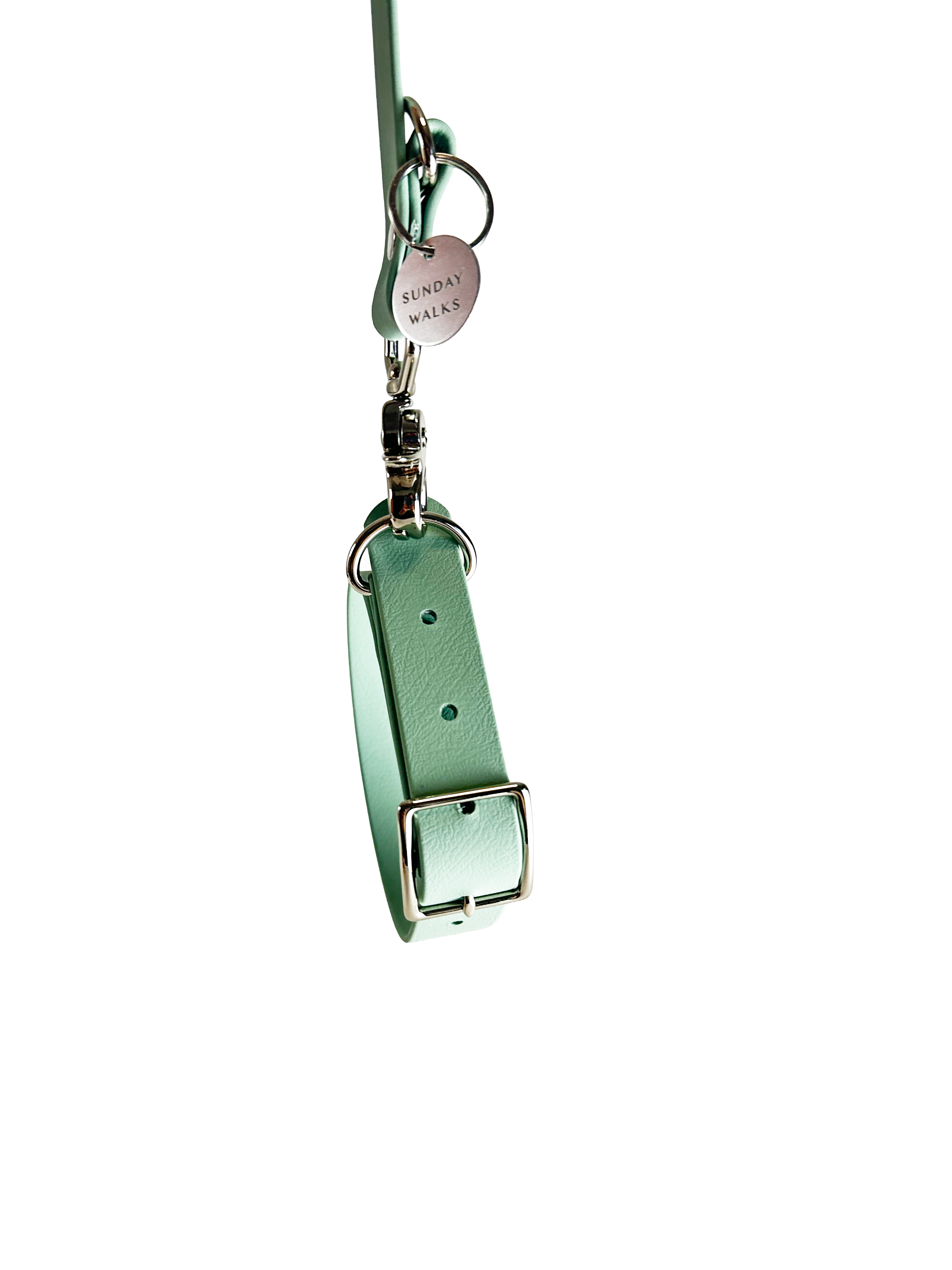 ADJUSTABLE THREE-WAY DOG LEASH — SEAFOAM GREEN