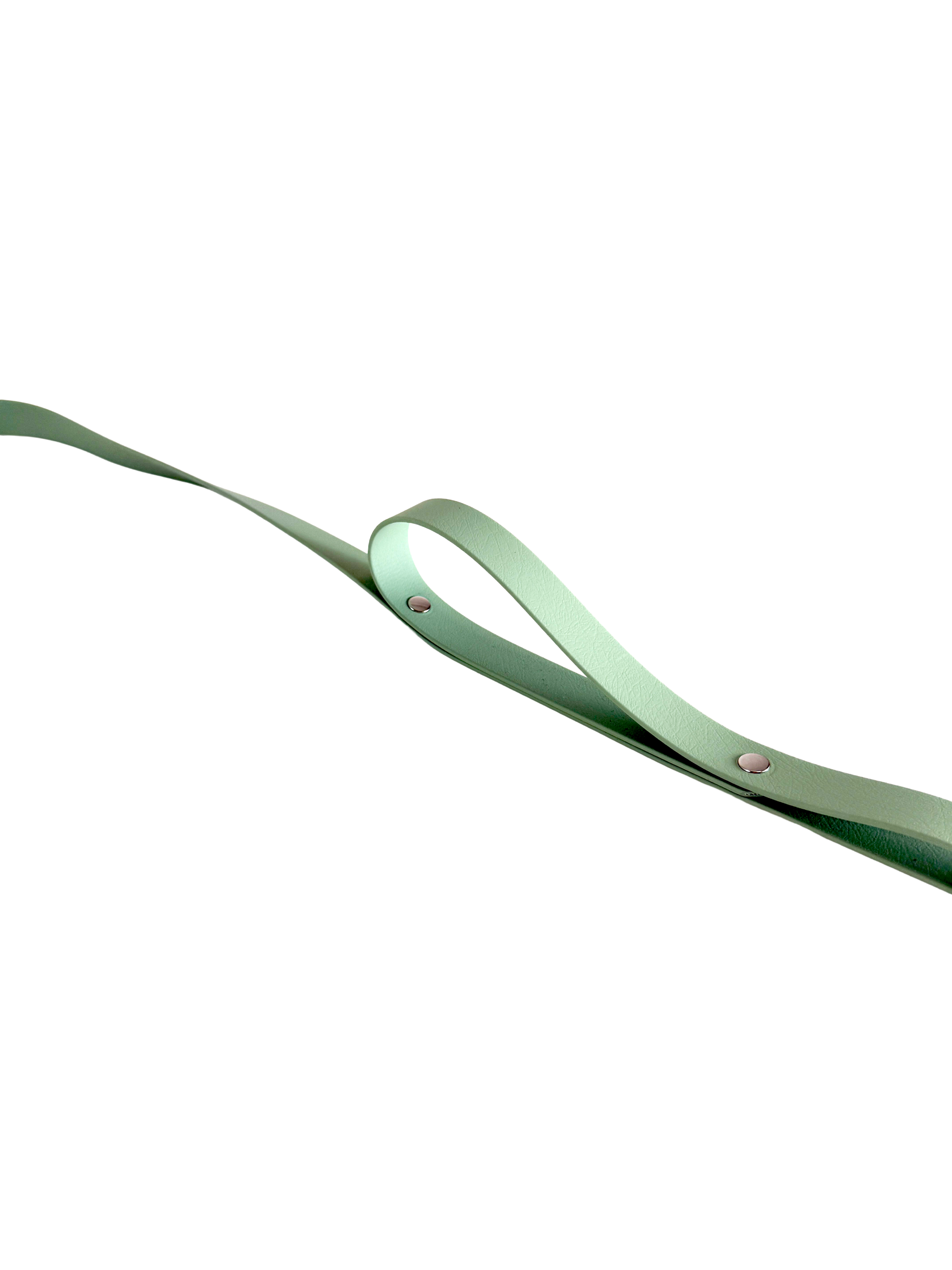 ADJUSTABLE THREE-WAY DOG LEASH — SEAFOAM GREEN