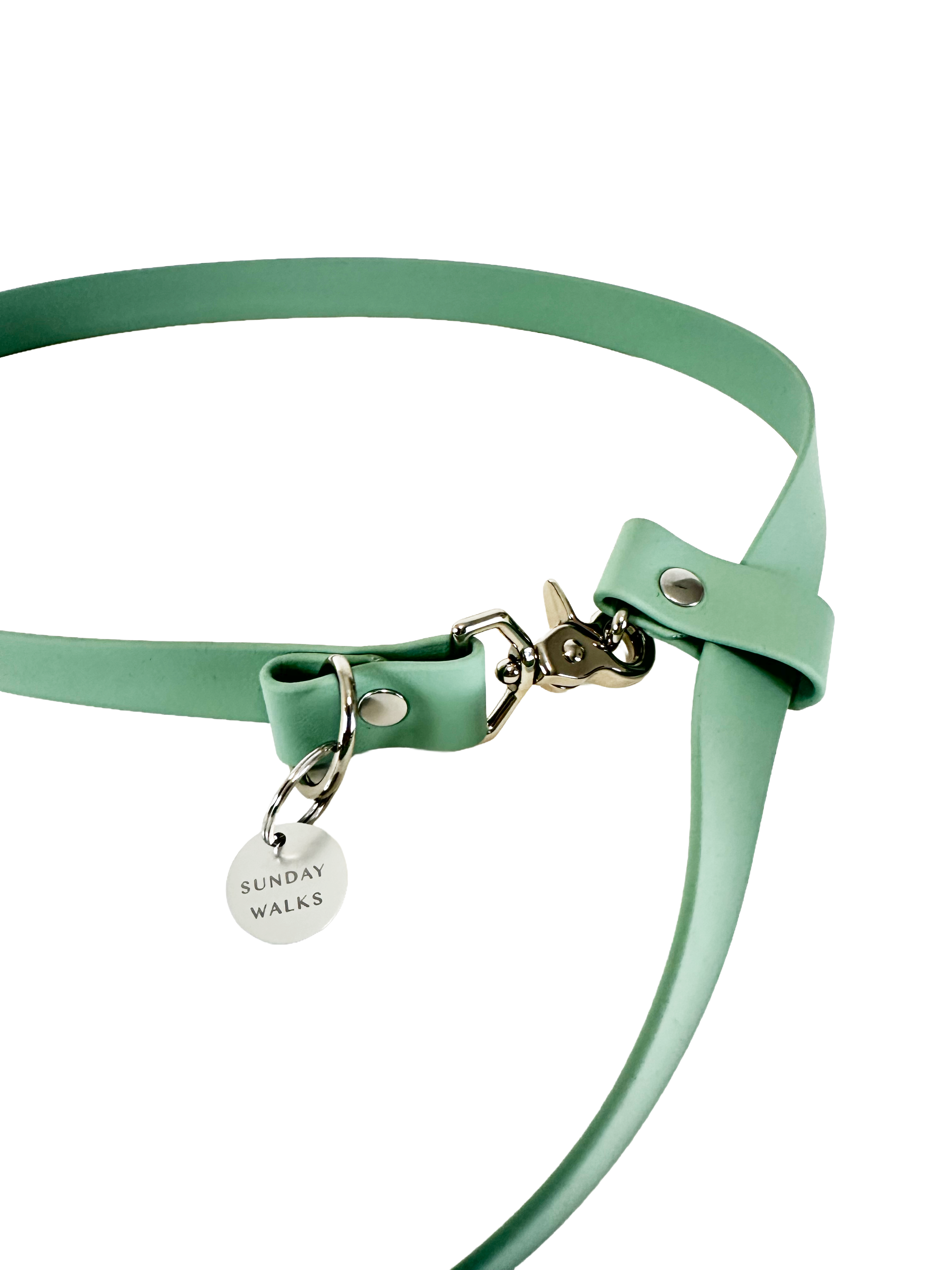 ADJUSTABLE THREE-WAY DOG LEASH — SEAFOAM GREEN
